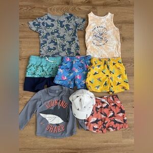 8 piece boys swim set Janie and jack , cat and jack